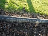 image of grave number 198713